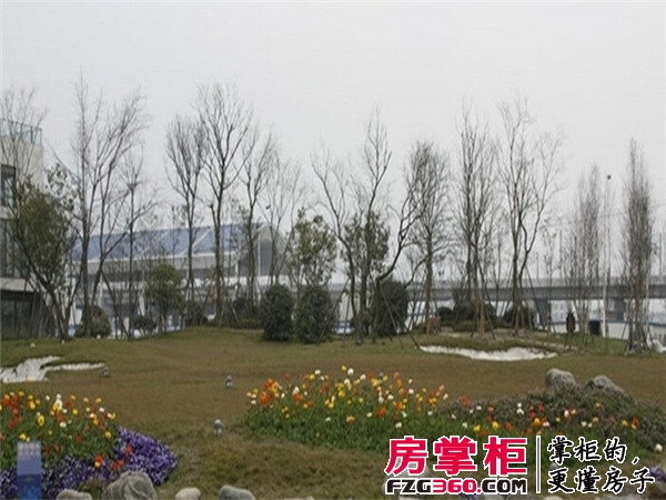 紫荆城实景图