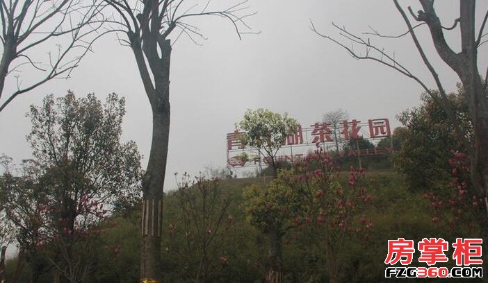 青竹湖太阳星城实景图