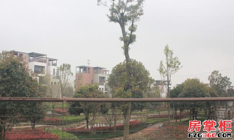青竹湖太阳星城实景图