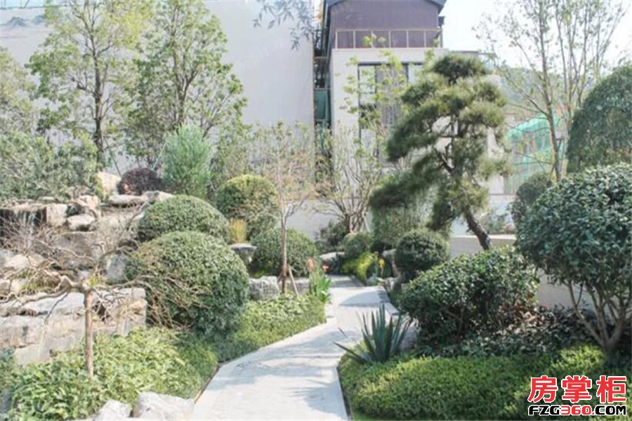 泰禾桂山院子实景图