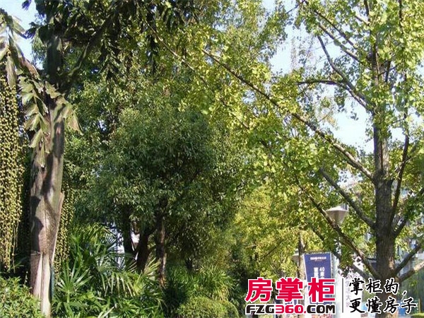 碧园印象桂林实景图