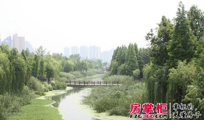 星桥桂花城实景图