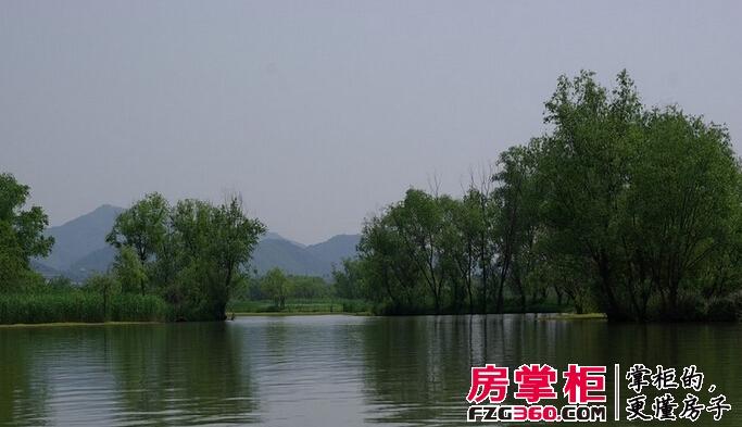 众安理想湾周边实景图