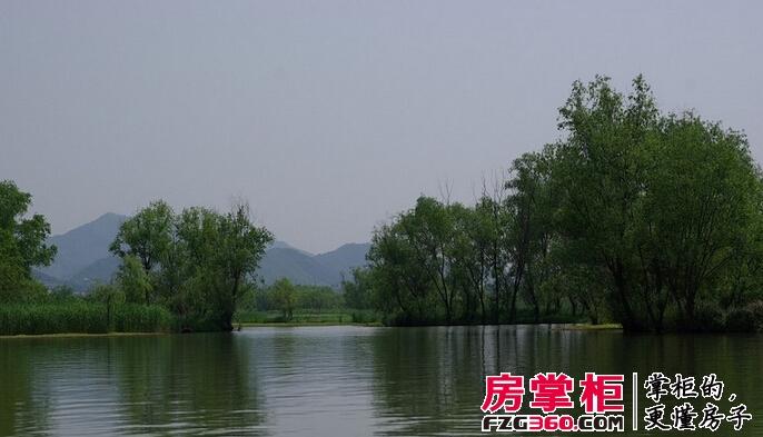 众安理想湾周边实景图