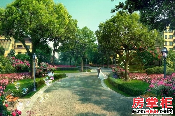 中海阳光玫瑰园效果图