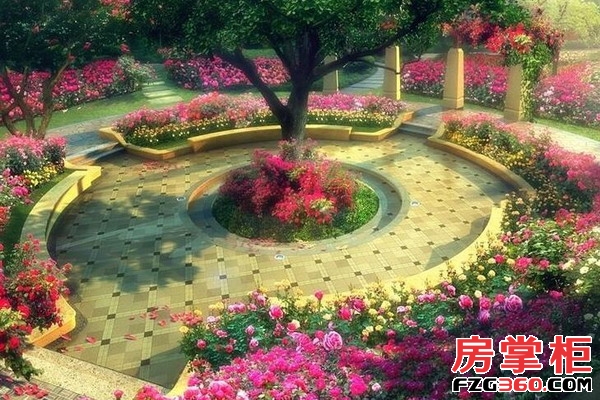 中海阳光玫瑰园效果图