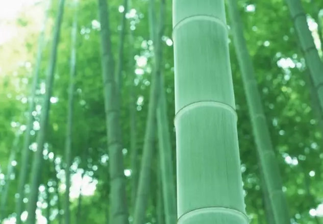 这9种植物适合庭院装修不容在您的大全别墅里错过法式别墅地板栽种图片图片