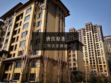 期待华美绽放 唐宫原著工程进度播报