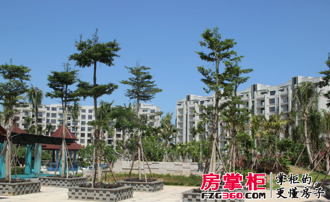海棠湾六和悦城实景图