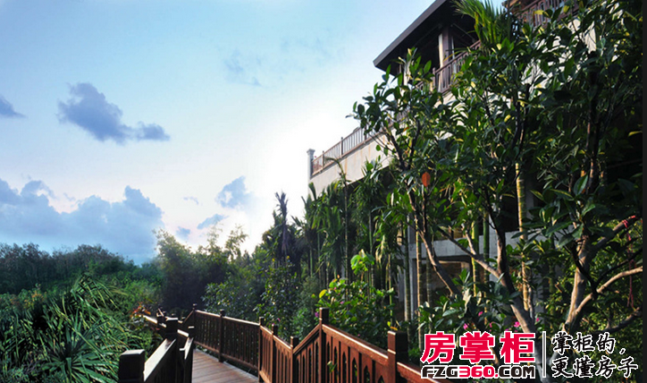 龙湾雨林谷实景图