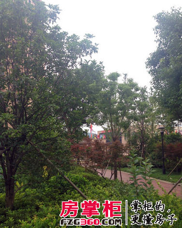 峰泽景园实景图