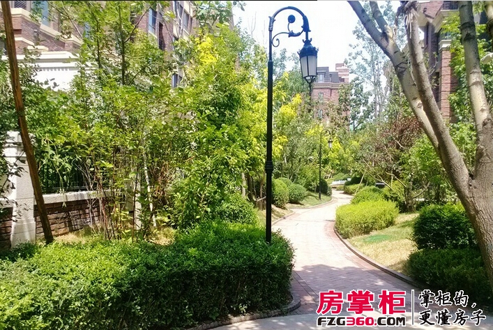 金地锦城实景图