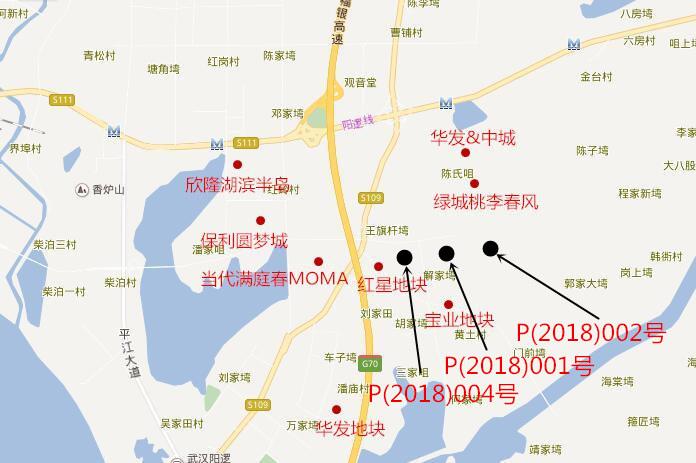 阳逻gdp_阳逻老正街以前的图片