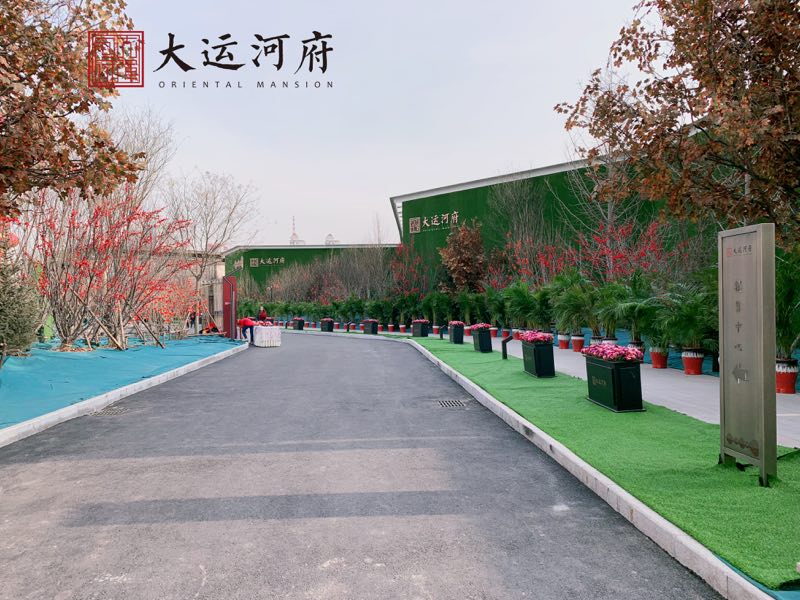 千人共鉴!红动天津大运河府示范区,现正惊艳盛