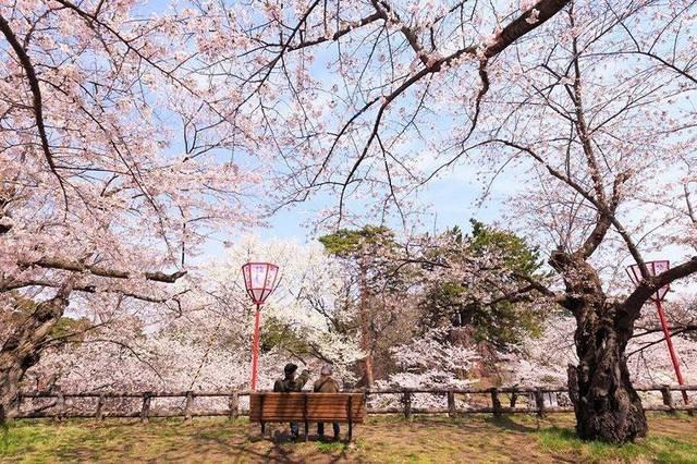 史上最全2019年日本赏樱花时间大预测