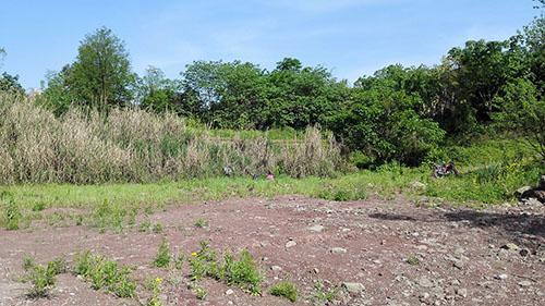 城市核心区域地块引房企疯抢 高溢价率土地并