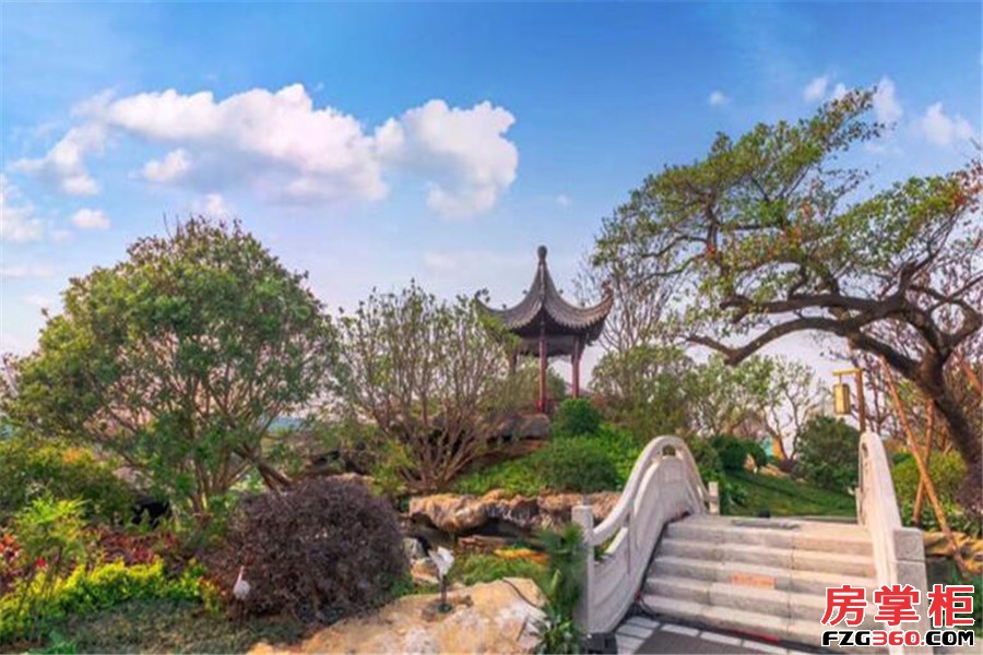 泰禾红树湾院子实景图