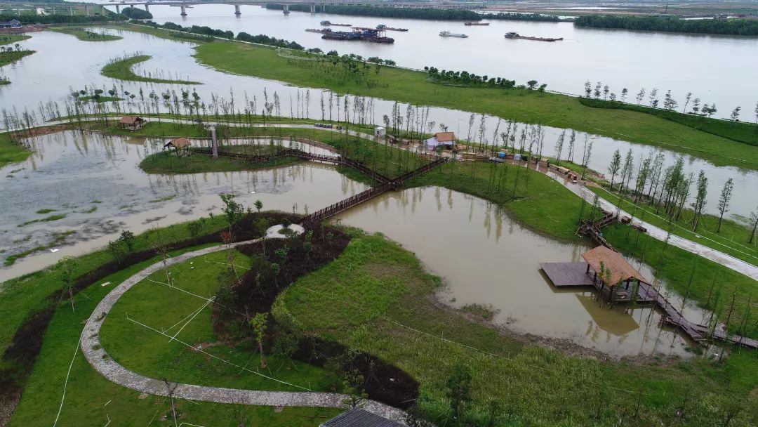 中山翠亨国家湿地公园位于翠亨新区南朗镇珠江口横门水道的咸淡水