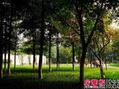 万科金色海蓉3期实景图东湖公园实拍（2012_09）