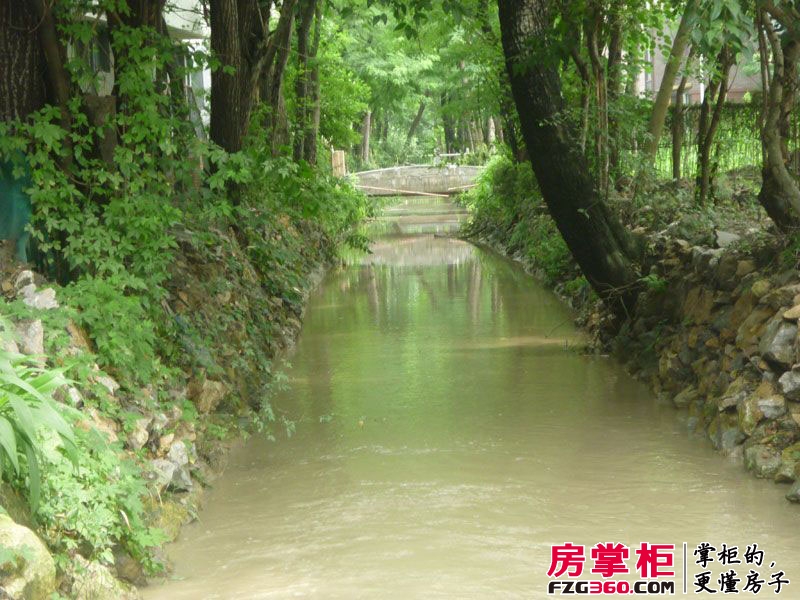 上河院子实景图小区河流实景(2011.07)