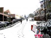 青城庄园实景图小区内雪景（2012-10）