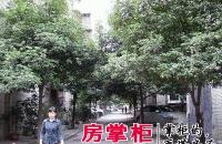 抚琴西路238号院