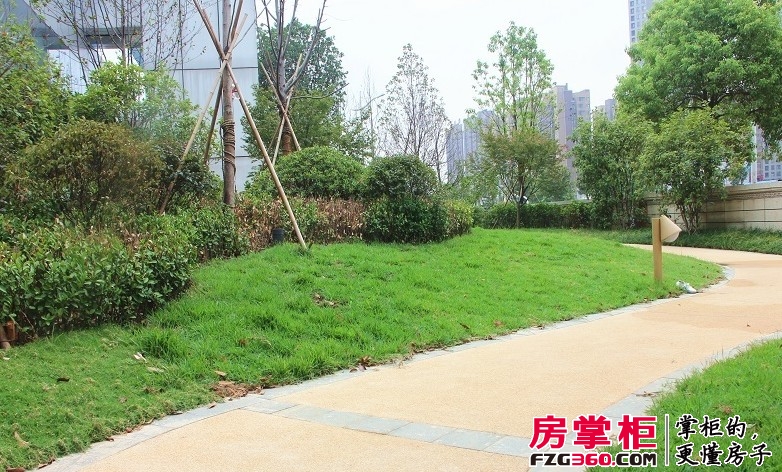 珠江郦城小区绿地