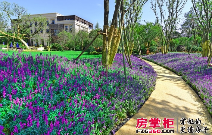 龙湖湘风星城75-115㎡墅区高层 感恩钜惠首付5万元起