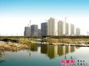 福佳新城实景图整体高层（20091230拍摄）