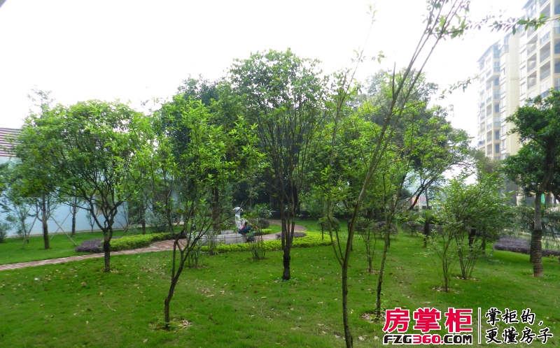 万福安居小区售楼中心旁绿化（2014-05）