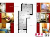 东尚国际寓所户型图6#C 1室2厅1卫1厨