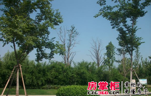 良渚书林苑外景图