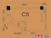 杭州香港城户型图C#座楼宇c5户型 1室1厅1卫