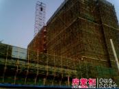 巨都桂花城实景图工程进度（2011.02）