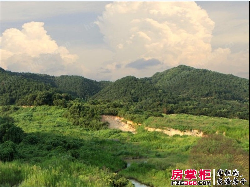 良渚文化村七贤郡实景图项目周边（2012-12-18）
