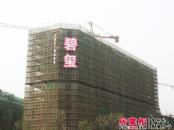 九龙仓碧玺实景图在建高层公寓工程进度（2013-1-31）