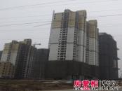 景尚名郡实景图整体工程进度（2012-02-01）