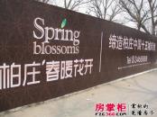 柏庄春暖花开实景图外墙广告（2011-03-16）