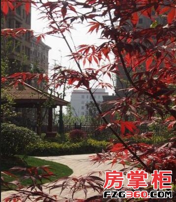 华地紫园实景图