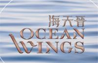 海天晉(Ocean Wings)
