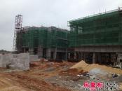 天九养生园实景图工程进展（20130516）