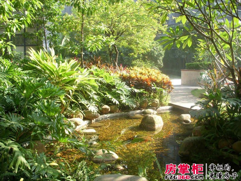 阳光紫荆花园实景图园林绿化（20111212）