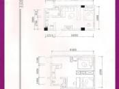芝山花园户型图经典O户型单身公寓31.69～37.24平方 1室1厅1卫1厨