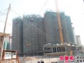 汇侨新城实景图三期洋房施工（2013.11.30）