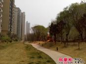 济南恒大绿洲实景图一期项目园林景观（2014-3-27）
