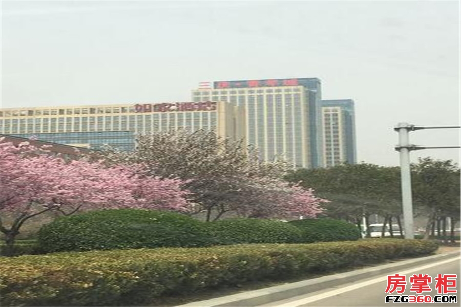 三庆青年城实景图