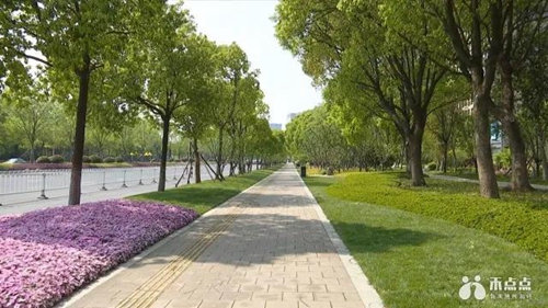 国际范江南韵南湖大道景观提升画上圆满句号