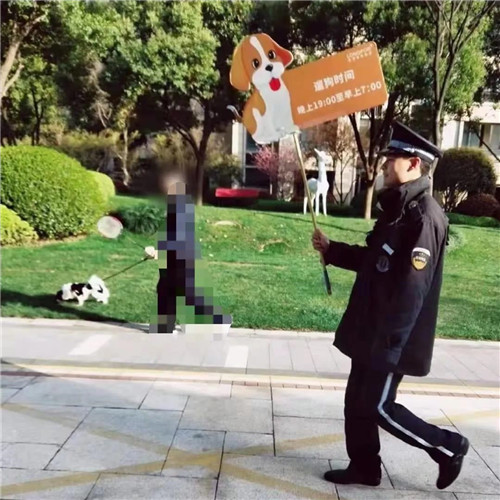 2017.jpg