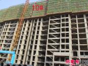 香榭里畔山10#楼工程进度（2014-04-29）