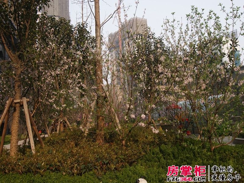 香榭里定鼎广场小区景观（2014-3-26）